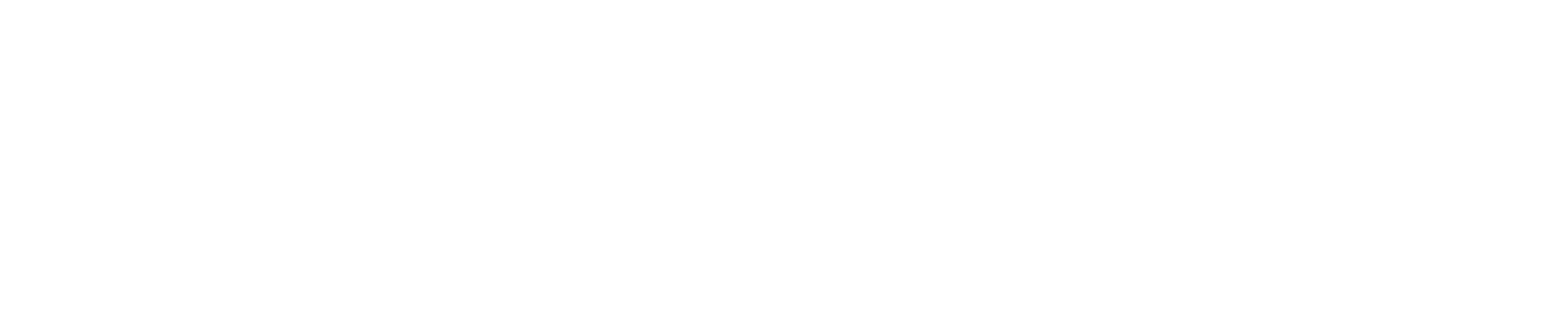 Capital Turístico Real Estate